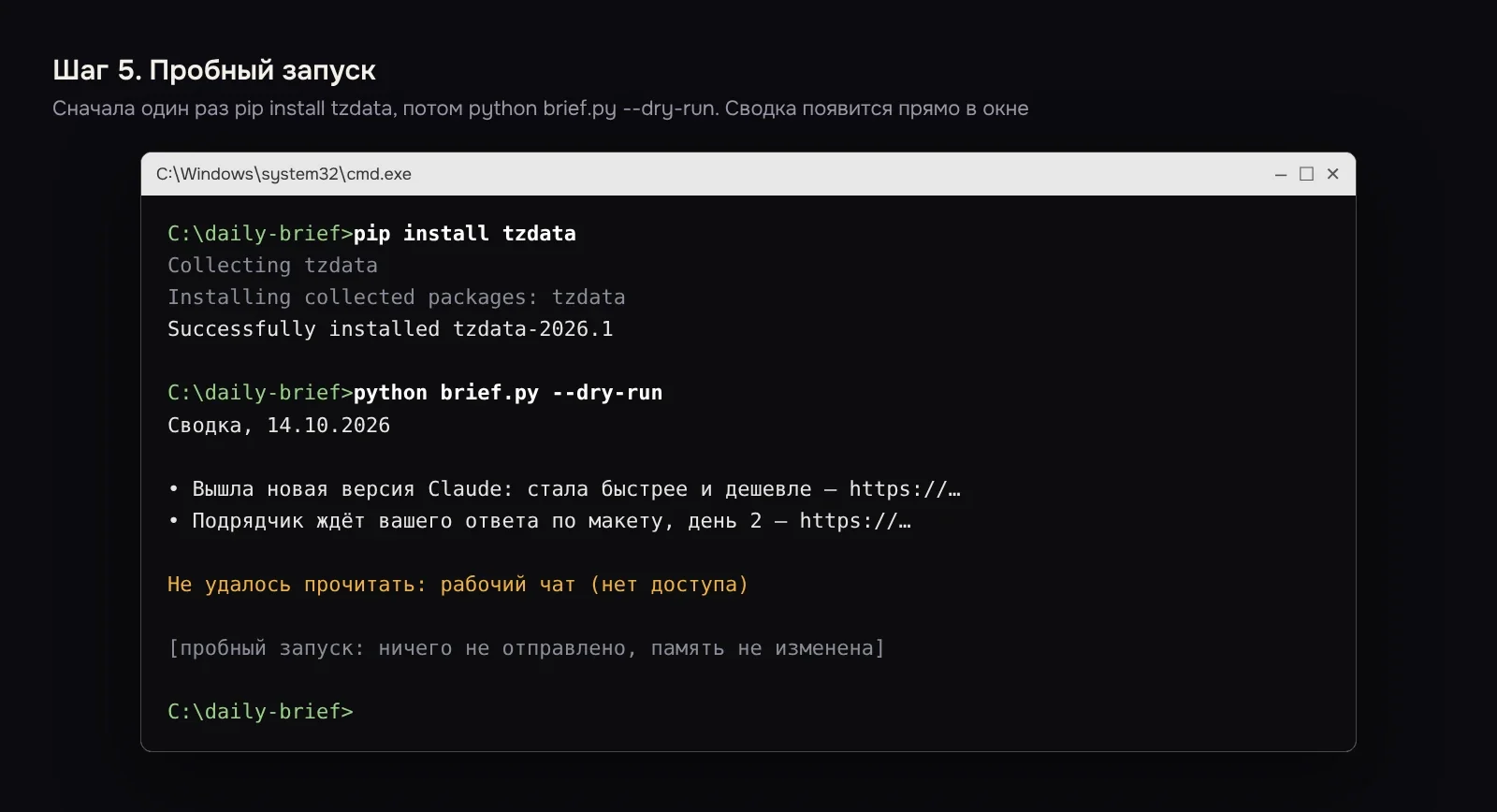 Командная строка: установка tzdata и пробный запуск агента